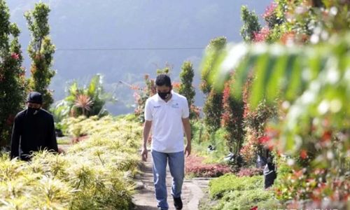 PLN Gelontorkan Rp24,4 Miliar Untuk Mengembangkan 104 Desa Wisata