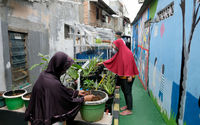 Kampung-Sehat-Utan-Kayu-12.jpg