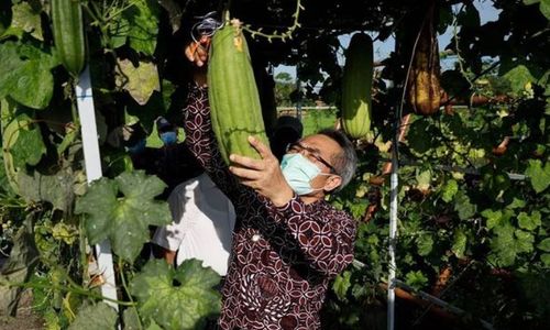agro dewani.JPG