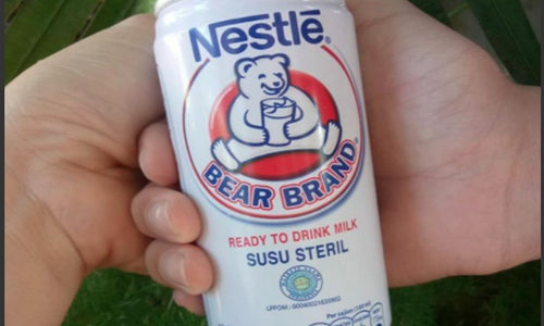 susu beruang.png