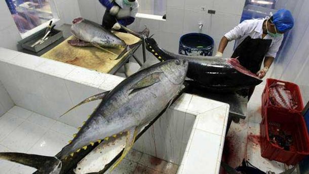 Sinergi Dinas Kelautan dan Perikanan, Disperindag, Pelindo dan Bea Cukai Dorong Ekspor Ikan NTT