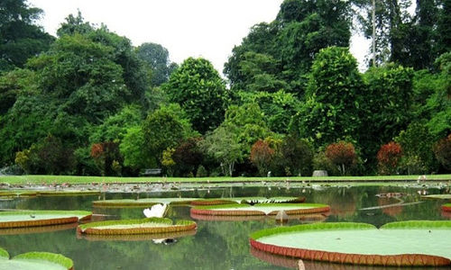 Kebun Raya.jpg
