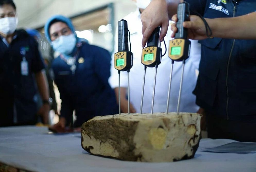 Tes terra karet.jpg