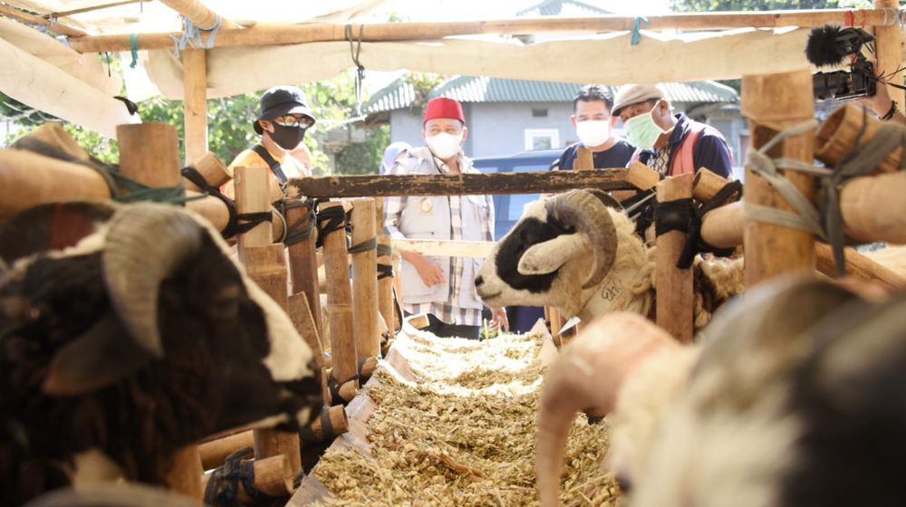 WhatsApp Image 2021-07-15 at 16.35.26(1).jpeg