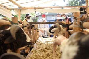 WhatsApp Image 2021-07-15 at 16.35.26(1).jpeg