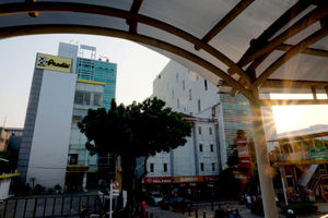 Prodia Health Care.jpg