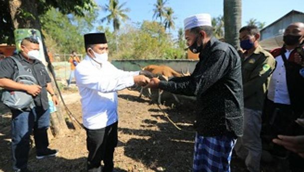 Pada Hari Idul Adha, Pemkab Manggarai Barat Serahkan Hewan Kurban Bagi Warga Muslim 