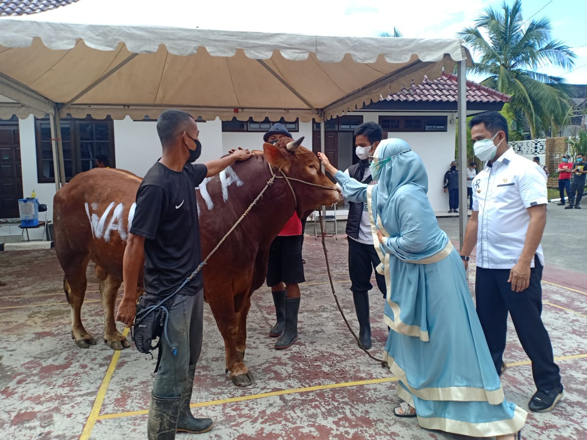 Wali Kota Balikpapan Rahmad Mas'ud bersama isteri Nurlena Rahmad Mas'ud  memperlihatkan hewan kurban yang akan dipotong di Rumah Jabatan Wali Kota pada Rabu (21/7/2021)