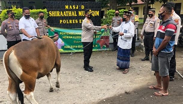 Hari Raya Idul Adha, Polres Ende Kurban Enam Ekor Sapi