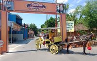 madiun heppiii kurban 1.jpeg