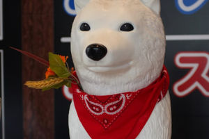 Punya Maskot Kai, Softbank Danai Proyek Memperpanjang Umur Anjing.jpg