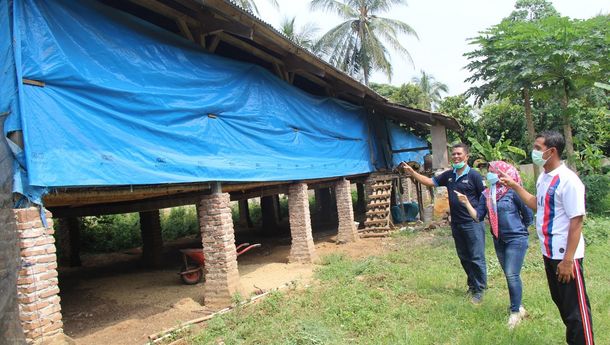 Pinjaman Modal Usaha PTPN VII, Geliatkan Usaha Ayam Pejantan Gunawan