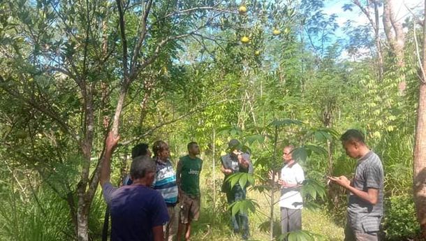 Gandeng Universitas Timor, Ansy Lema Kembangkan Hutan Sosial di Tiga Desa