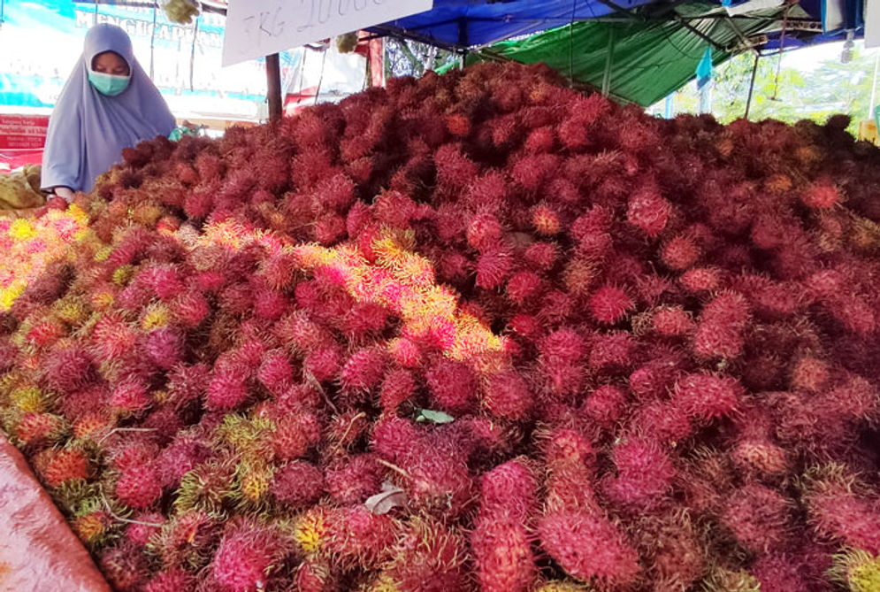 rambutan.jpg