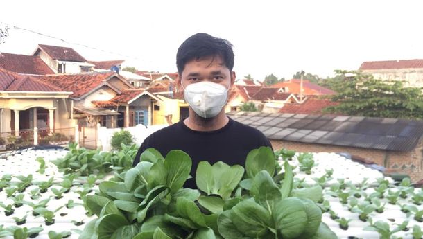 Simak Rahasia Ingreen Hidroponik Tetap Bertahan di Tengah Persaingan