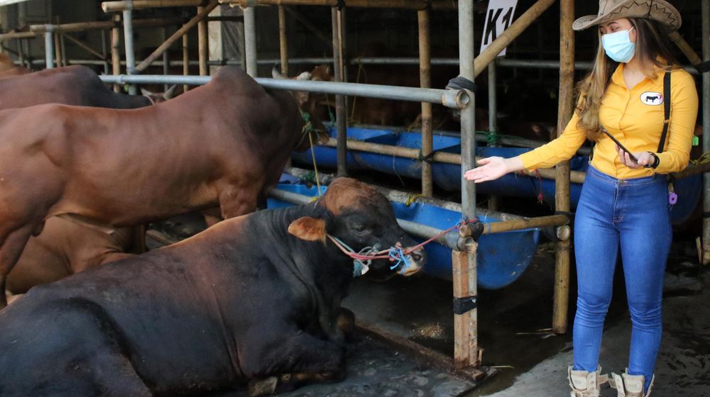 <p>Nampak sejumlah SPG cantik yang siap melayani para pembeli di Mal Hewan Kurban milik Haji Doni di Jl Akses UI Kelapa Dua Depok, Sabtu 10 Juli 2021. Foto : Panji Asmoro/TrenAsia</p>
