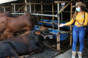 <p>Nampak sejumlah SPG cantik yang siap melayani para pembeli di Mal Hewan Kurban milik Haji Doni di Jl Akses UI Kelapa Dua Depok, Sabtu 10 Juli 2021. Foto : Panji Asmoro/TrenAsia</p>