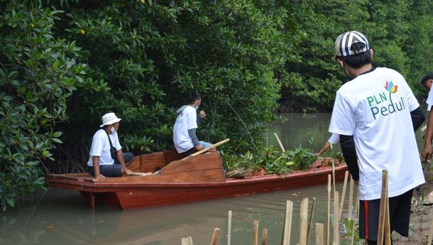 Cegah Abrasi Pesisir Pantai Lampung, PLN Peduli Tanam 3.500 Bibit Mangrove