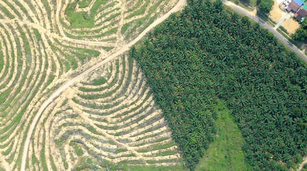 Tunas Baru Lampung.jpg