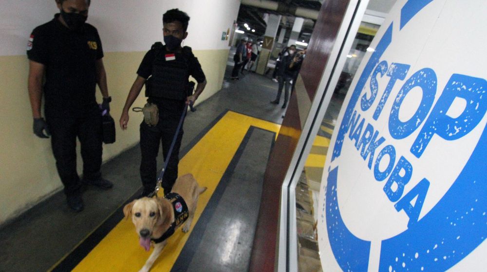 Lacak Narkoba Apartemen - Panji 2.jpg