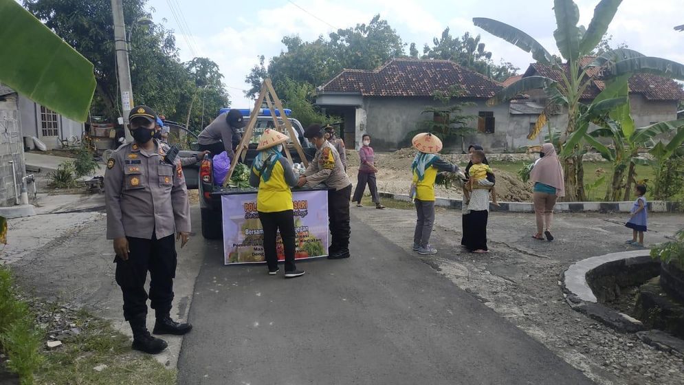Baksos sayuran 