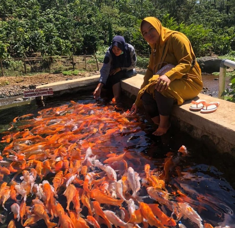 Objek Wisata Ayik Pacar