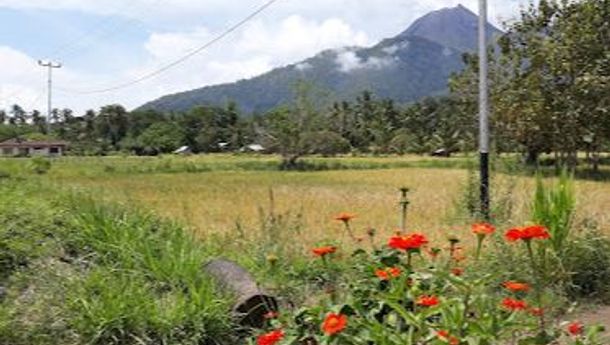 Warga Desa Hokeng Jaya, Kecamatan Wulanggitang, Flotim Keluhkan Listrik yang Sering Padam