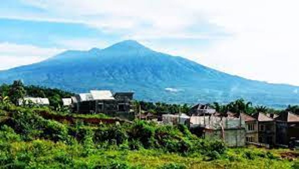A-DESA ORO.jpg