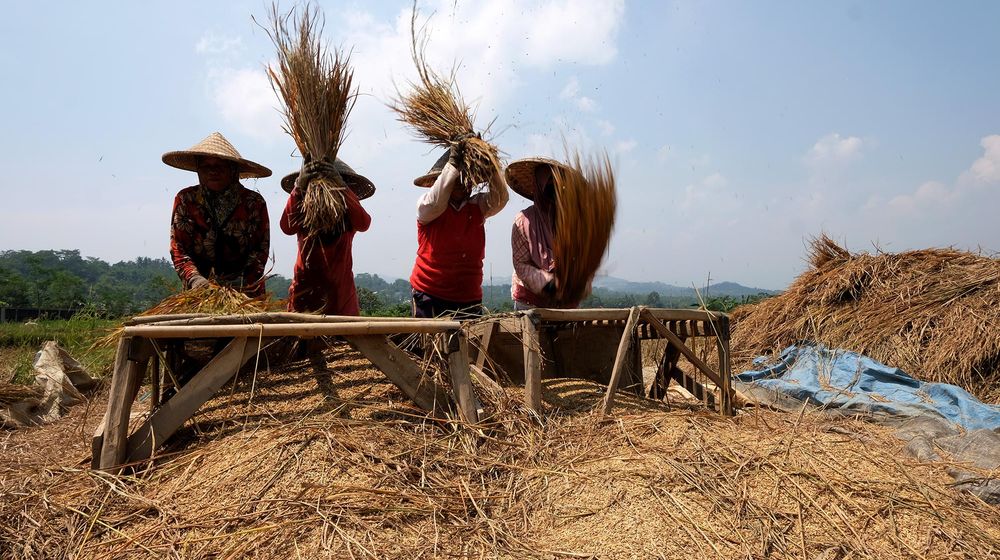 Realisasi KUR Pertanian.jpg