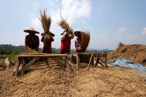 Realisasi KUR Pertanian.jpg