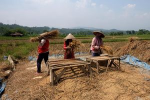 Realisasi KUR Pertanian.jpg