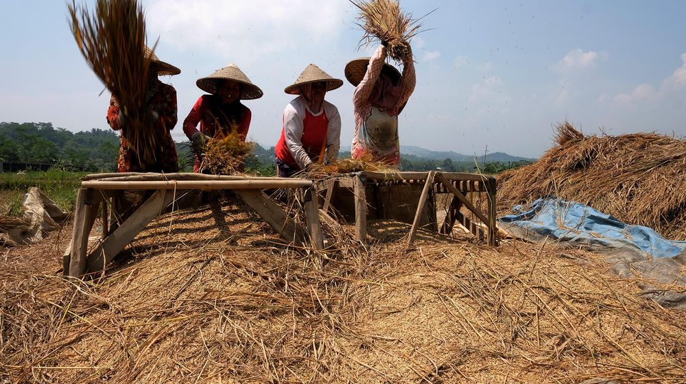 Realisasi KUR Pertanian .jpg