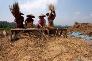 Realisasi KUR Pertanian .jpg