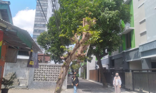 15005--730x420px.jpg
