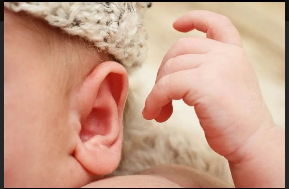 Bayi tuli.jpg