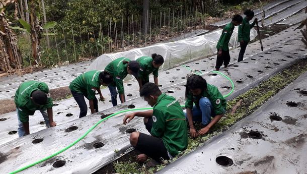 Sejumlah Mahasiswa UNIPA Bertekad, Setelah Tamat Kuliah Jadi Petani Milenial