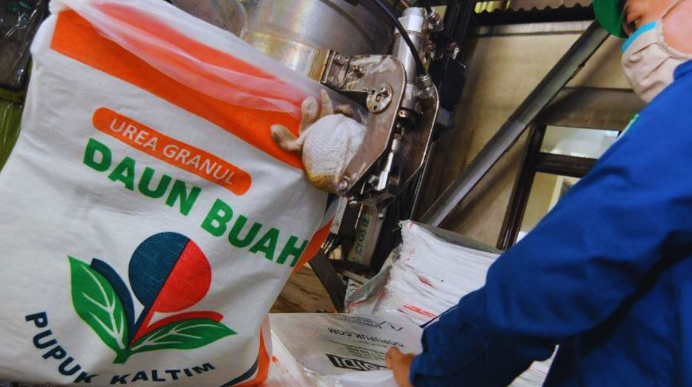 <p>doc: metrosulawesi.id</p>
