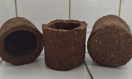ecopot.jpeg