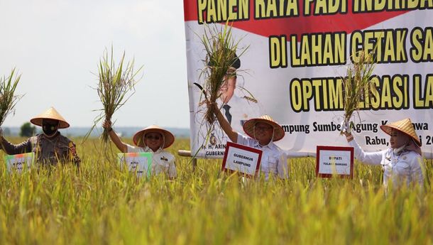 Gubernur Lampung Launching Kartu Petani Berjaya Di Tulang Bawang