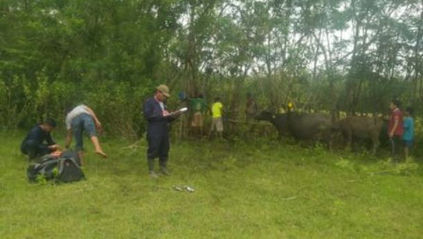 Terkait Pemotongan Gaji TKD, Tim Lapangan Puskeswan Beberkan Kendala