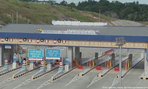 tol balsam.jpeg