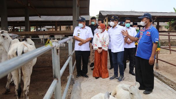 Mendes PDTT Apresiasi Manajemen Koperasi Produksi Ternak di Lampung