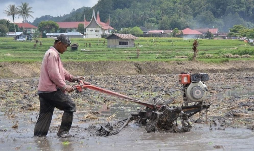 PETANI ALSINTA PP.jpg