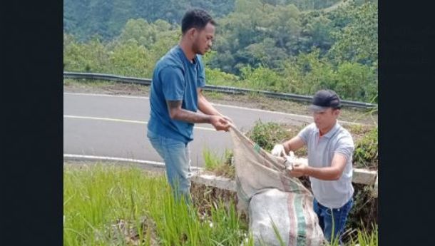 Pungut Sampah, Plt Camat Ruteng Lody Moa  Bersama Warga Sisir Ruas Jalan Trans Flores