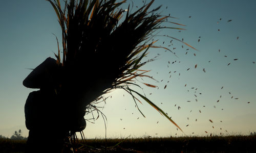 Target Produksi Padi .jpg