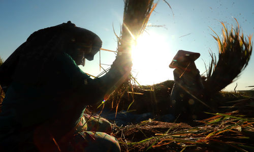 Petani memanen gabah padi di area persawahan kawasan Jonggol, Jawa Barat, Rabu, 15 September 2021. Foto: Ismail Pohan/TrenAsia