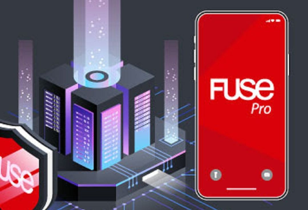 Start up asuransi Fuse / Dok. Fuse