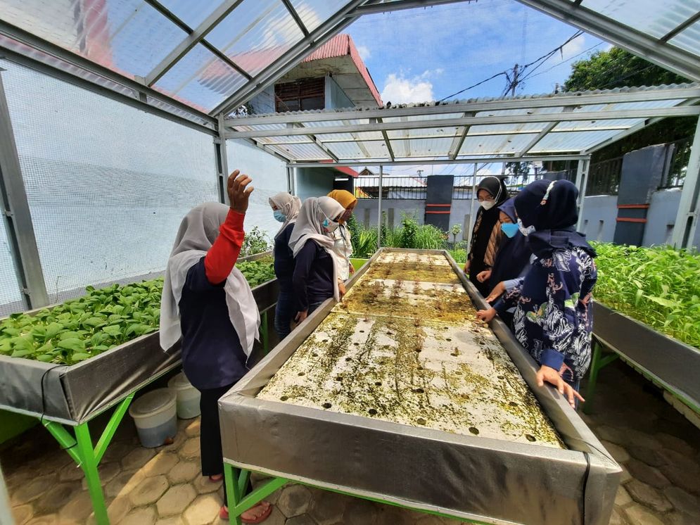 Sosialisasi dan sharing session mengenai Budidaya Hidroponik kepada para anggota kelompok hidroponik Lembaga Pemasyarakatan Perempuan Palembang guna meningkatkan pengetahuan dan keterampilan anggota kelompok.