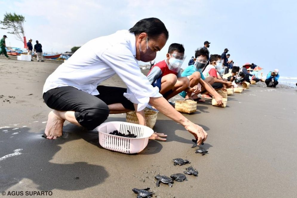 JOKOWI-LEPAS-TUKIK-DI-CILACAP.jpg