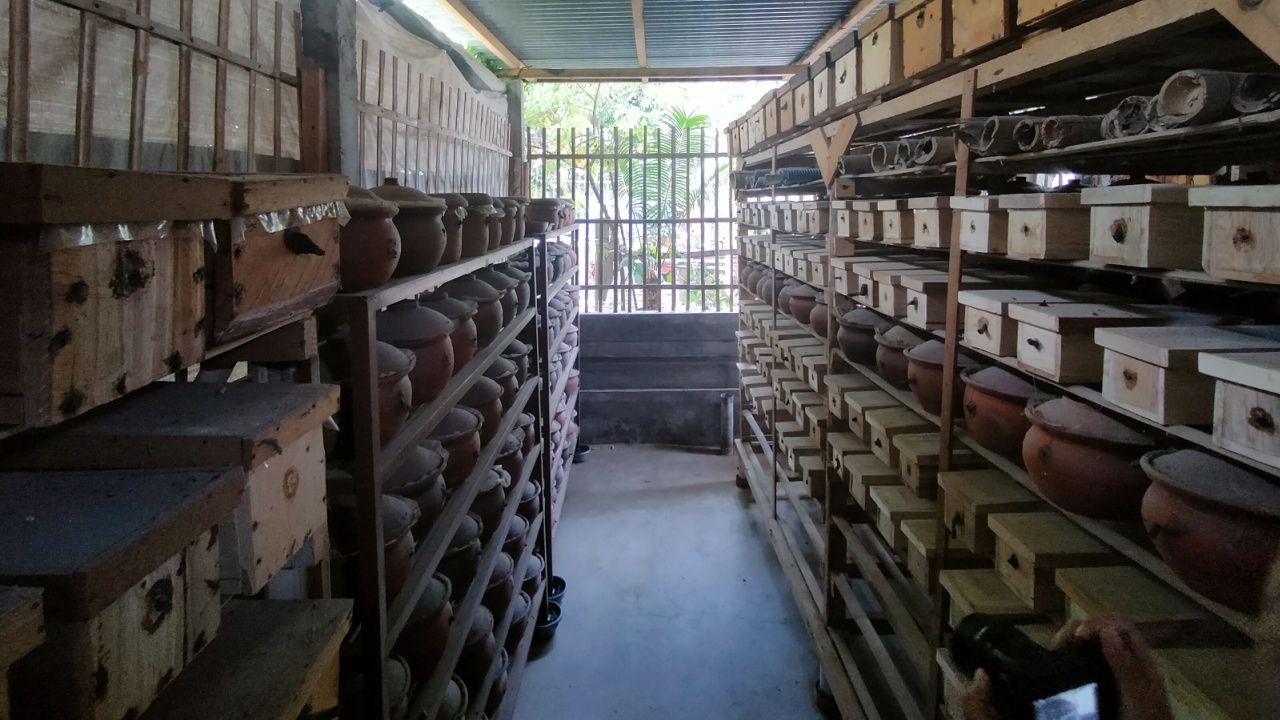 Madu klanceng hasil budidaya pasangan Zamhari dan Istiarti